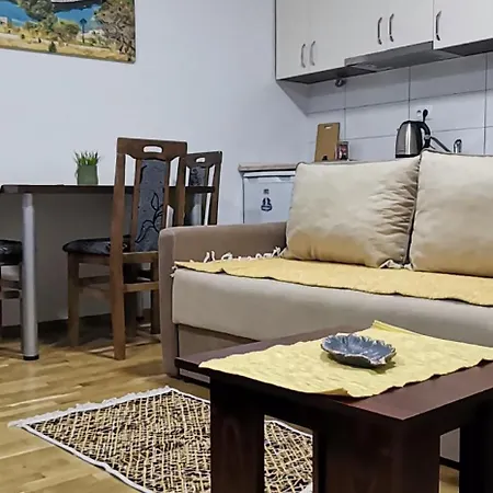 Center Delfina Apartment